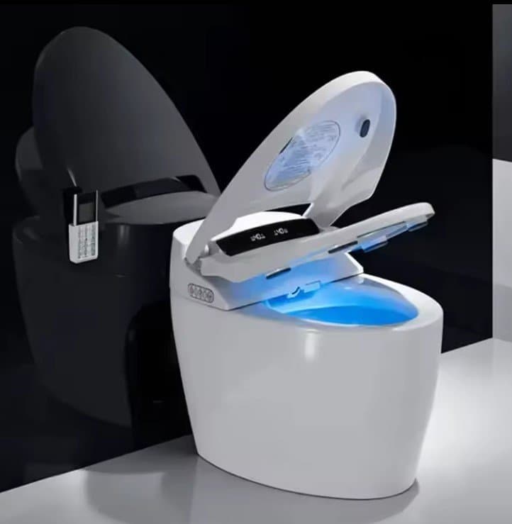 wc Toilet Water closet Auto sensor flush open electric bathroom