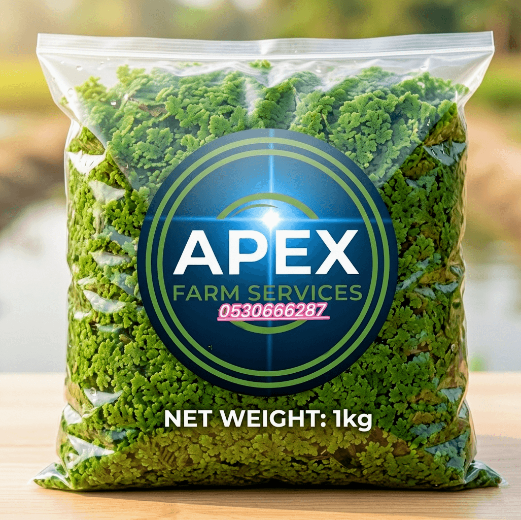 Azolla, Duckweed, water lettuce, water lily, watercress, Azolla Max fertilizer
