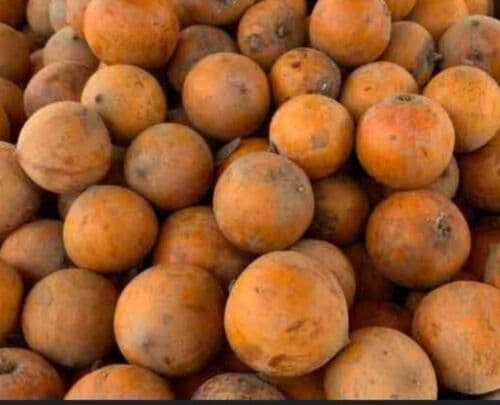 AFRICAN STAR APPLE,AGBALUMO AJASE(COTONOU) 1KG BOX