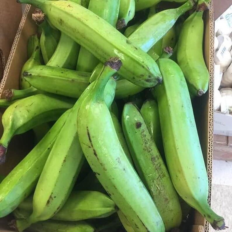 PREMIUM Ashantis Plantain box, Handpicked Plaintains Green 100% Organic