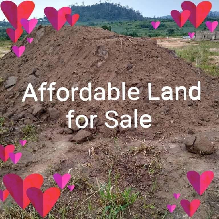 Land 70/100